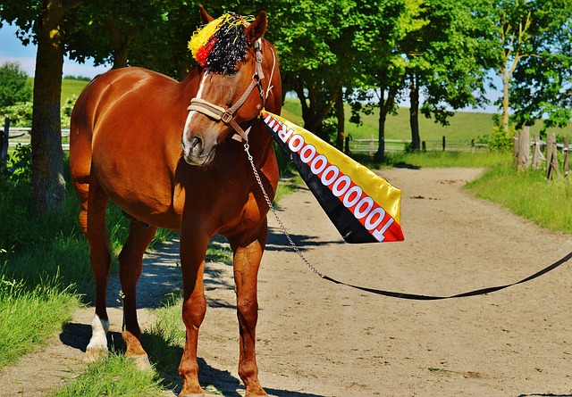 曼联桑乔 曼联桑乔