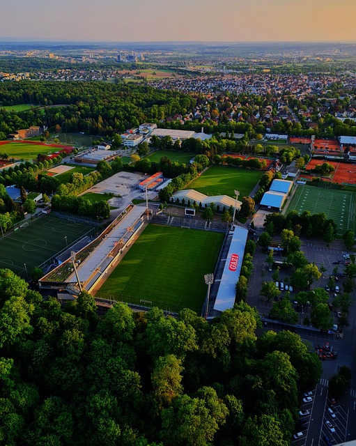 第十一期红 第十一期红