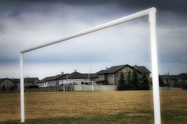 媒体领域 媒体领域