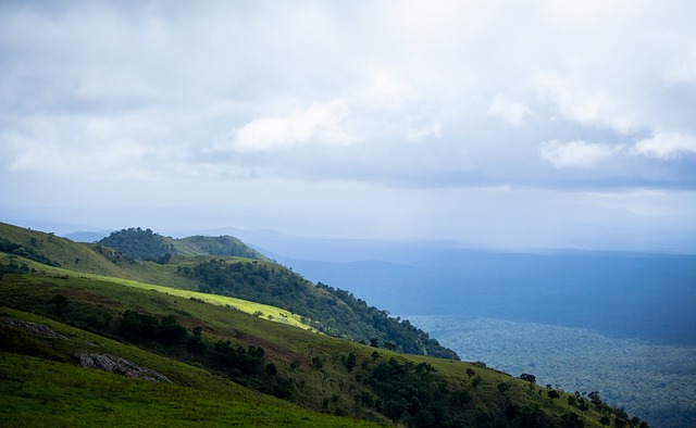 色的青训体 色的青训体