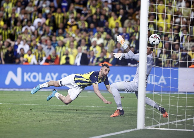 十足的竞争 十足的竞争