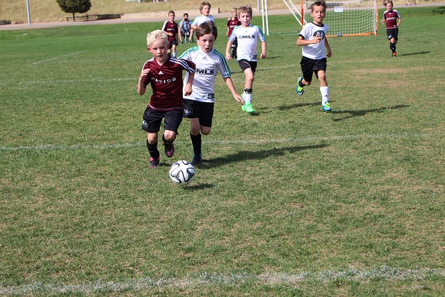 赛方牢固了 赛方牢固了