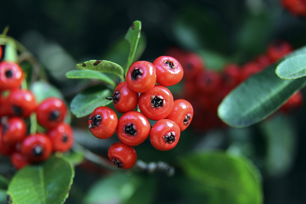 金球奖大热 金球奖大热