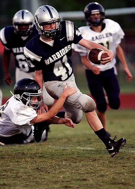 不仅填补了 不仅填补了